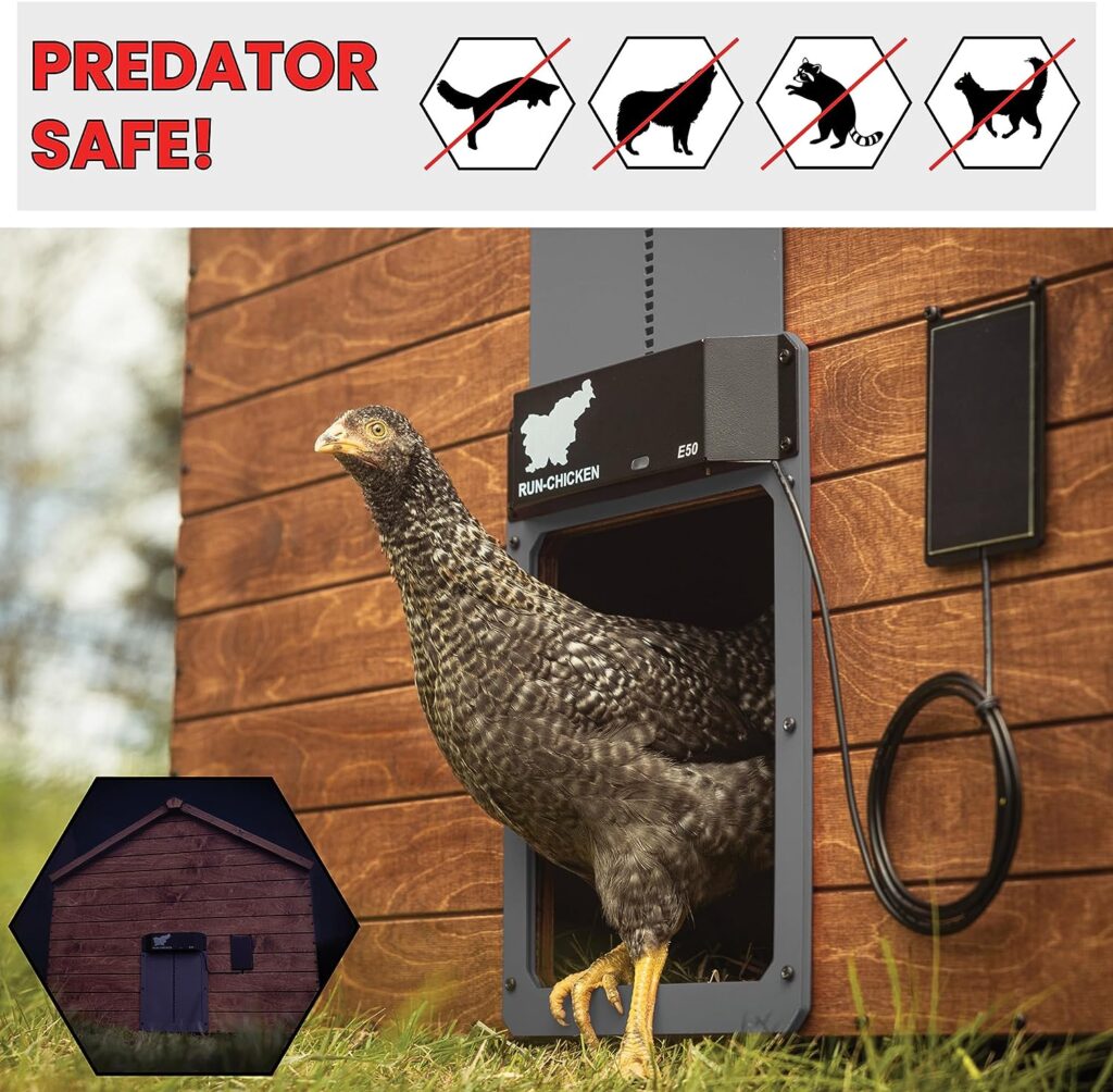 RUN-CHICKEN Solar Chicken Coop Door (Gray) Automatic Chicken Coop Door with Timer, Programmable, Battery Powered Coop Door, Chicken Door Opener, Aluminum Coop Door, Coop Control, Model E50