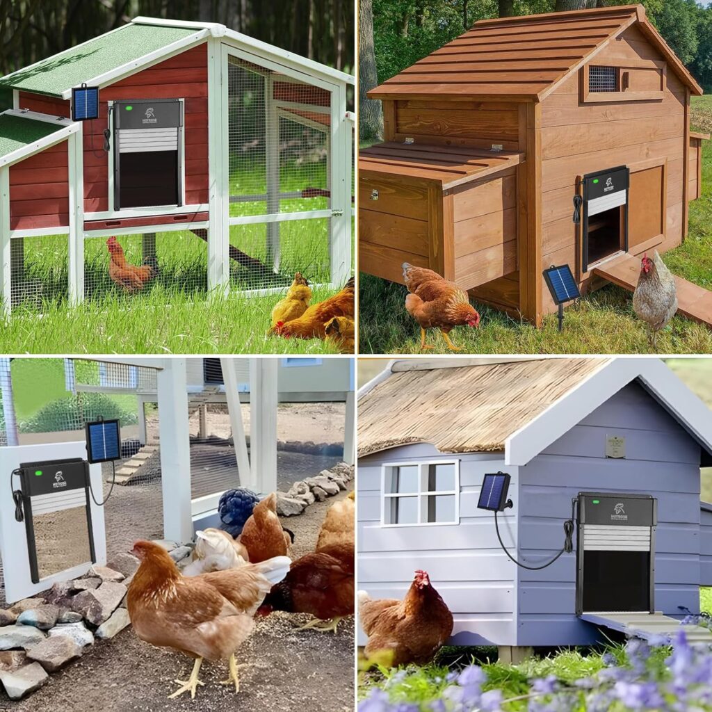 Automatic Chicken Coop Door, Solar Powered Chicken Door with Timer  Light Sensor, Full Aluminum and Weatherproof Multi-Modes Poultry Coop Door with Anti-Pinch Design