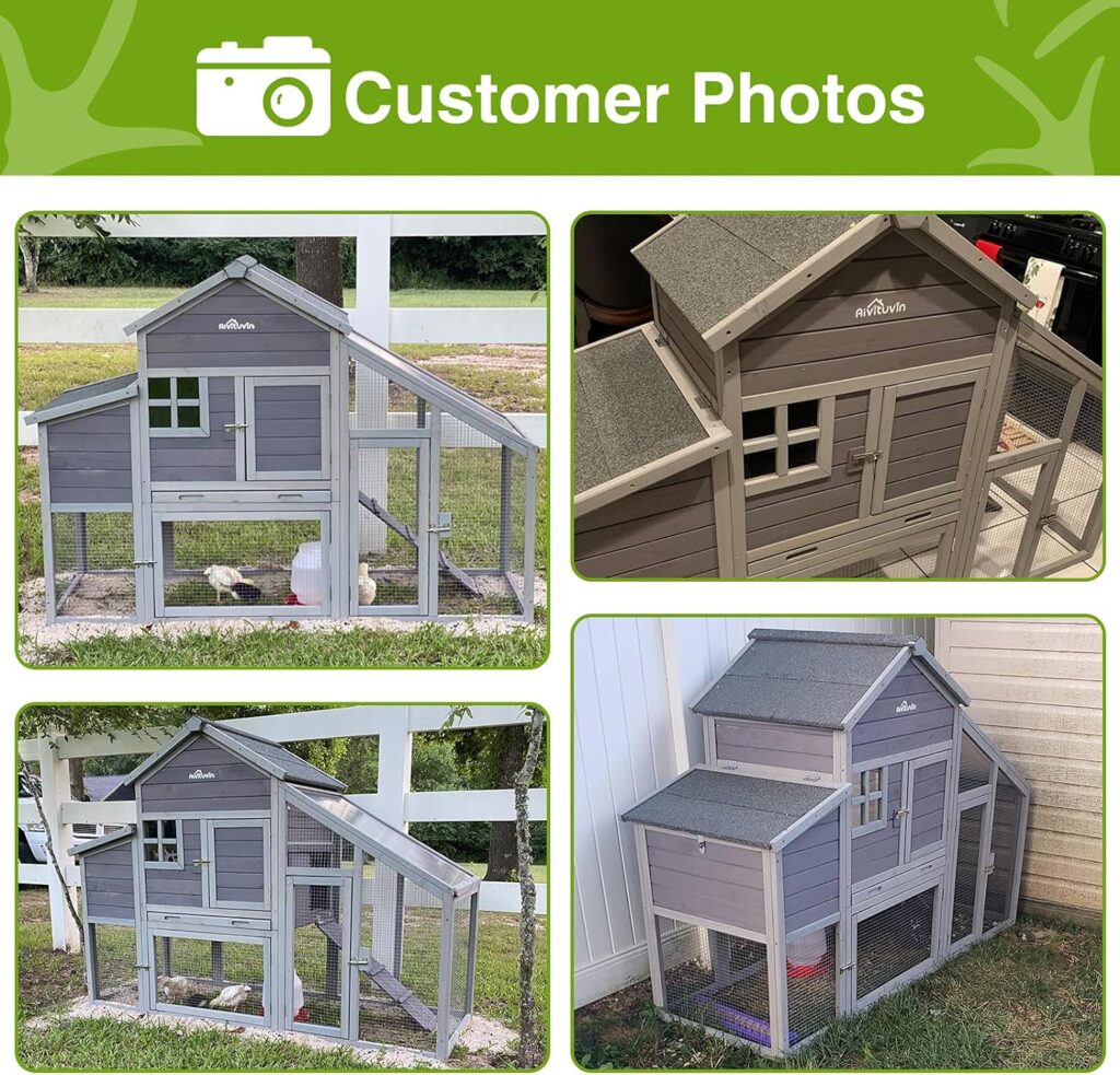 Chicken Coop Outdoor Wooden Hen House 65 with Large Nesting Box, Poultry Cage with Removable Tray,UV Proof Roof