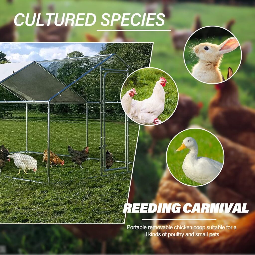 Large Metal Chicken Coop Chicken Run for Yard Chicken Pen Outdoor Walk-in Chicken House Heavy Duty Poultry Cage with Waterproof and Anti-UV Cover for Farm Use (9.9 L x 13.2 W x 6.6 H)