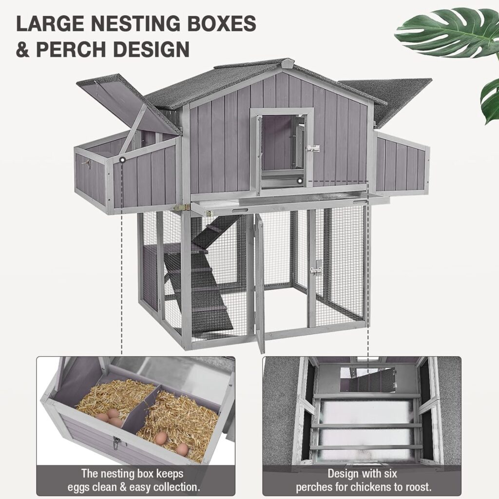 MEDEHOO Large Chicken Coop Folding Design Easy to Set Up Portable Chicken House for Outdoor with Two Nesting Box, Leakproof Pull-on Tray and UV-Resistant Roof Panel