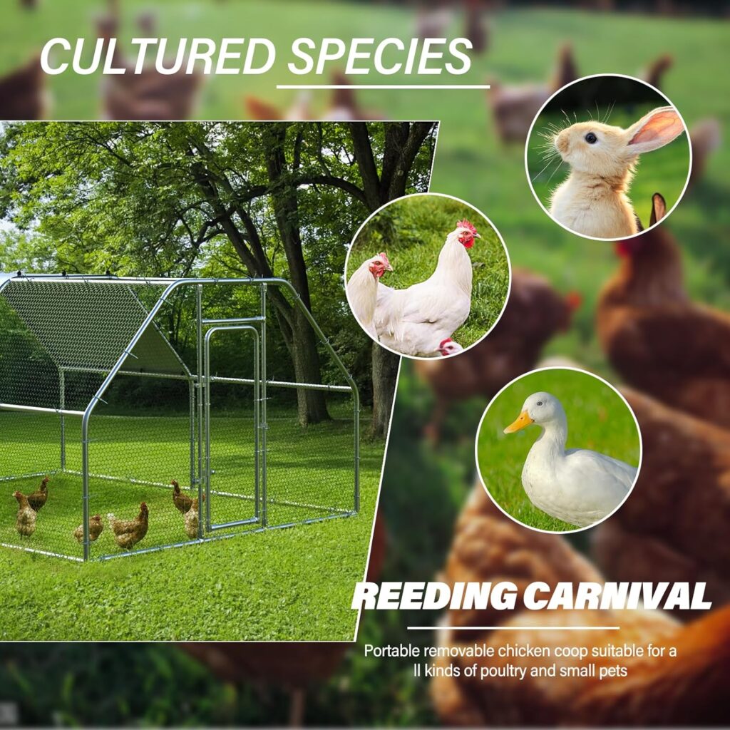 SNDM Bold Chicken Coop Run Large Metal Chicken Pen Outdoor, Poultry Cage Spire Shape Coop, Heavy Duty Walkin Chicken Runs for Yard with Waterproof and Anti-UV Cover, Chicken coop for Farm (2 Room)